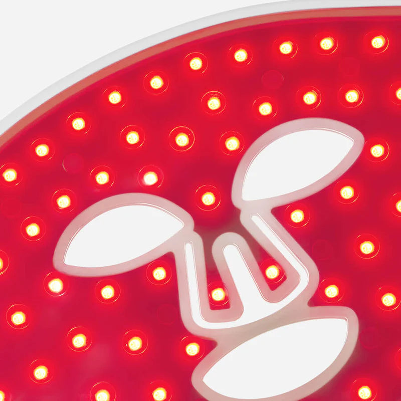 CurrentBody Skin LED Rotlicht Therapie Gesichtsmaske: 1. Gen.